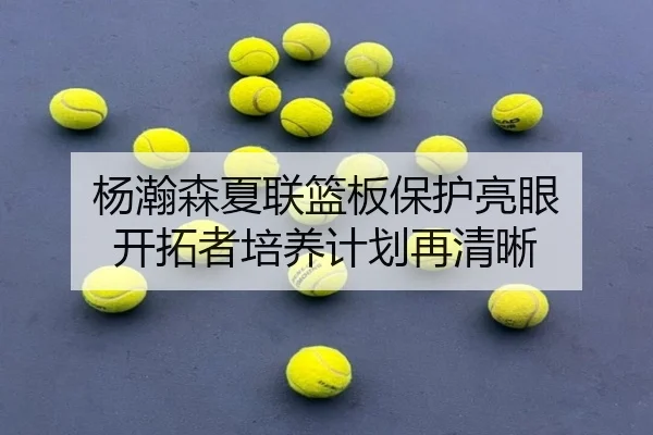 杨瀚森夏联篮板保护亮眼 开拓者培养计划再清晰